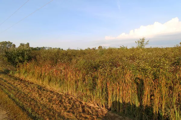 $50,000 | 14.89-ac 14.89-ac 7th, Montello, WI 53949