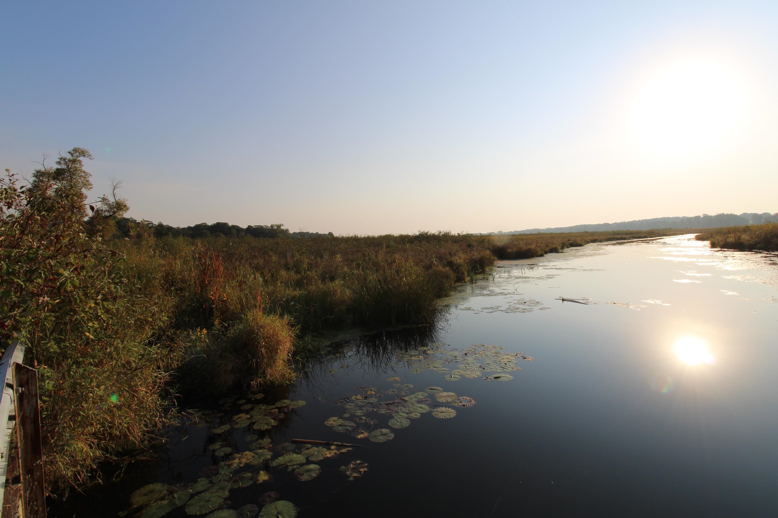 14.89-ac 14.89-ac 7th Montello, WI 53949 - Photo 2 of 13