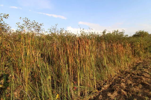 $60,000 | 14.89-ac 14.89-ac 7th, Montello, WI 53949