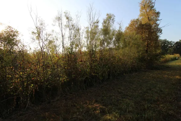 $50,000 | 14.89-ac 14.89-ac 7th, Montello, WI 53949