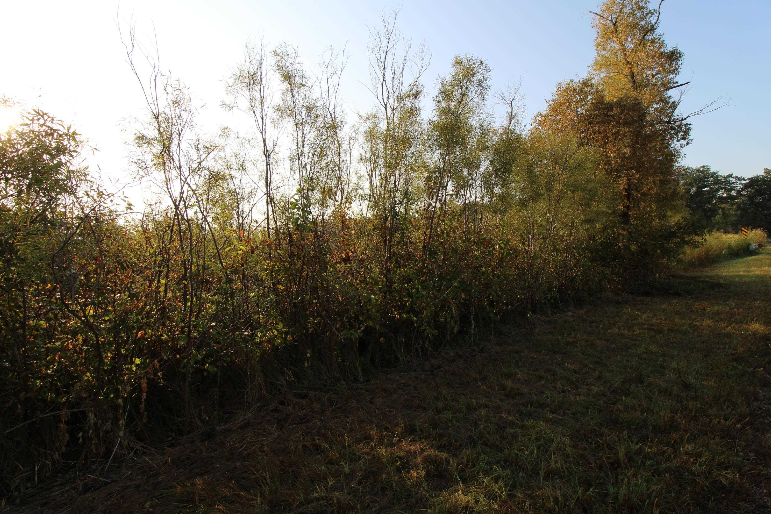 14.89-ac 14.89-ac 7th Montello, WI 53949 - Photo 7 of 13