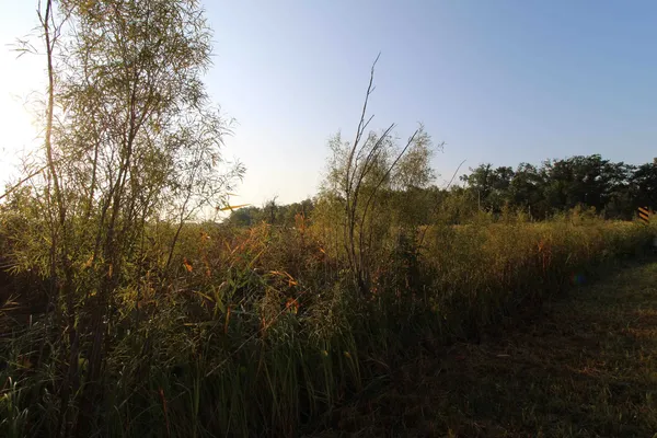 $50,000 | 14.89-ac 14.89-ac 7th, Montello, WI 53949