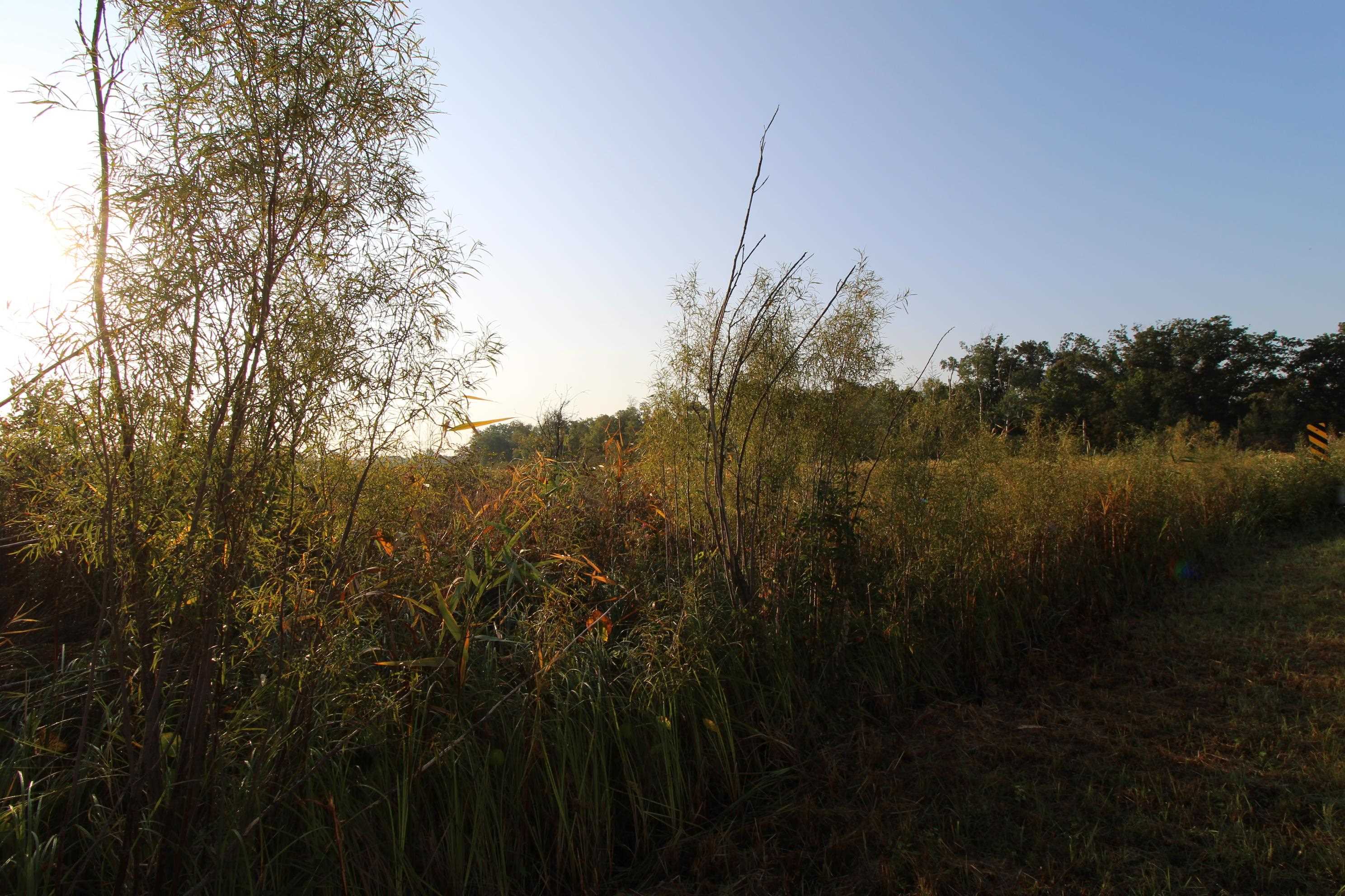 14.89-ac 14.89-ac 7th Montello, WI 53949 - Photo 8 of 13