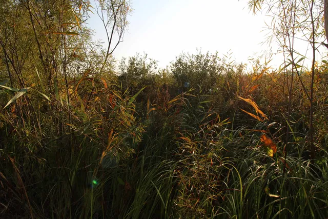 $60,000 | 14.89-ac 14.89-ac 7th, Montello, WI 53949