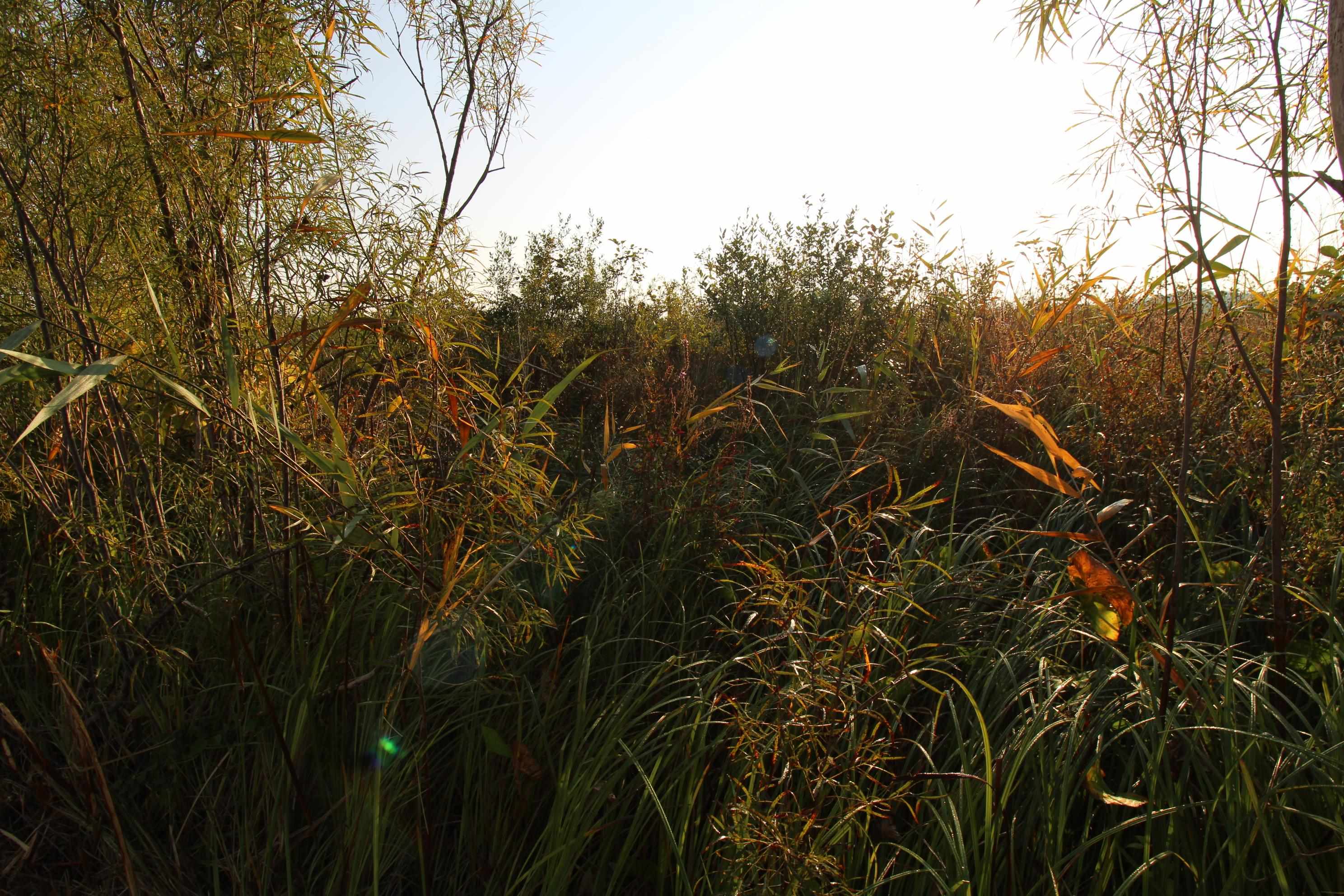 14.89-ac 14.89-ac 7th Montello, WI 53949 - Photo 9 of 13