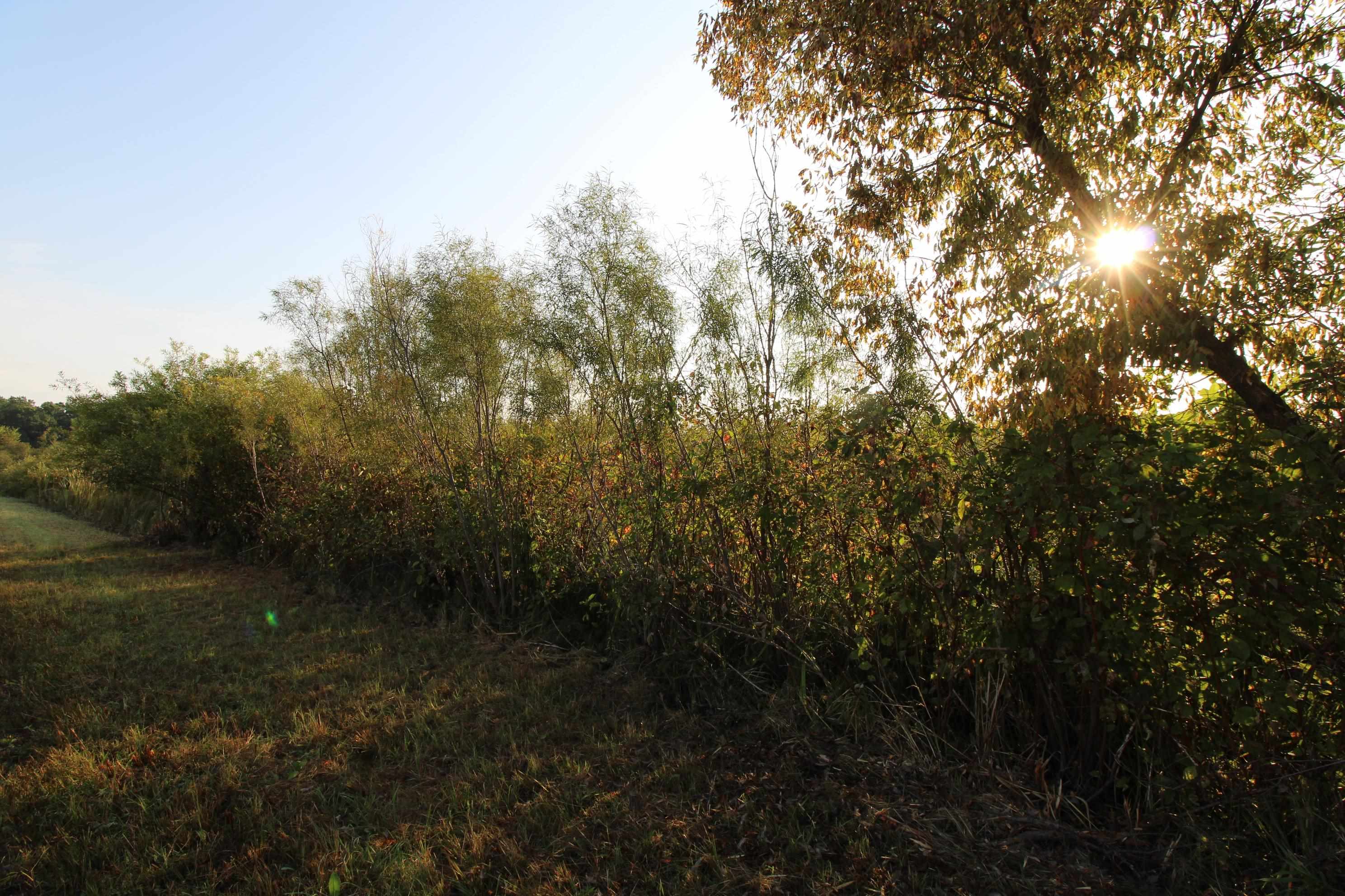 14.89-ac 14.89-ac 7th Montello, WI 53949 - Photo 10 of 13