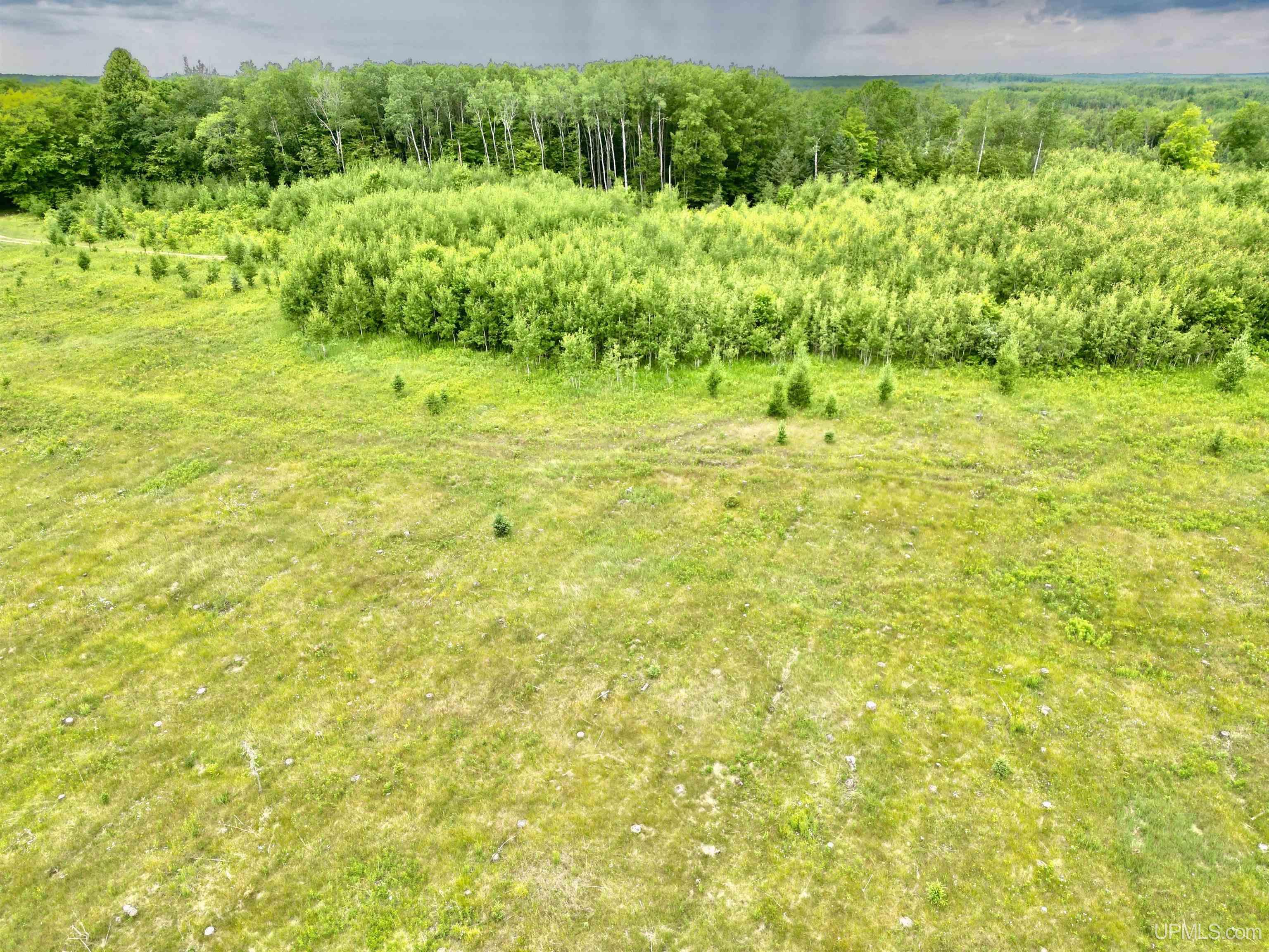 Tbd Tbd Truax Lane Road, Unit 1 Cornell, MI 49818 - Photo 11 of 13