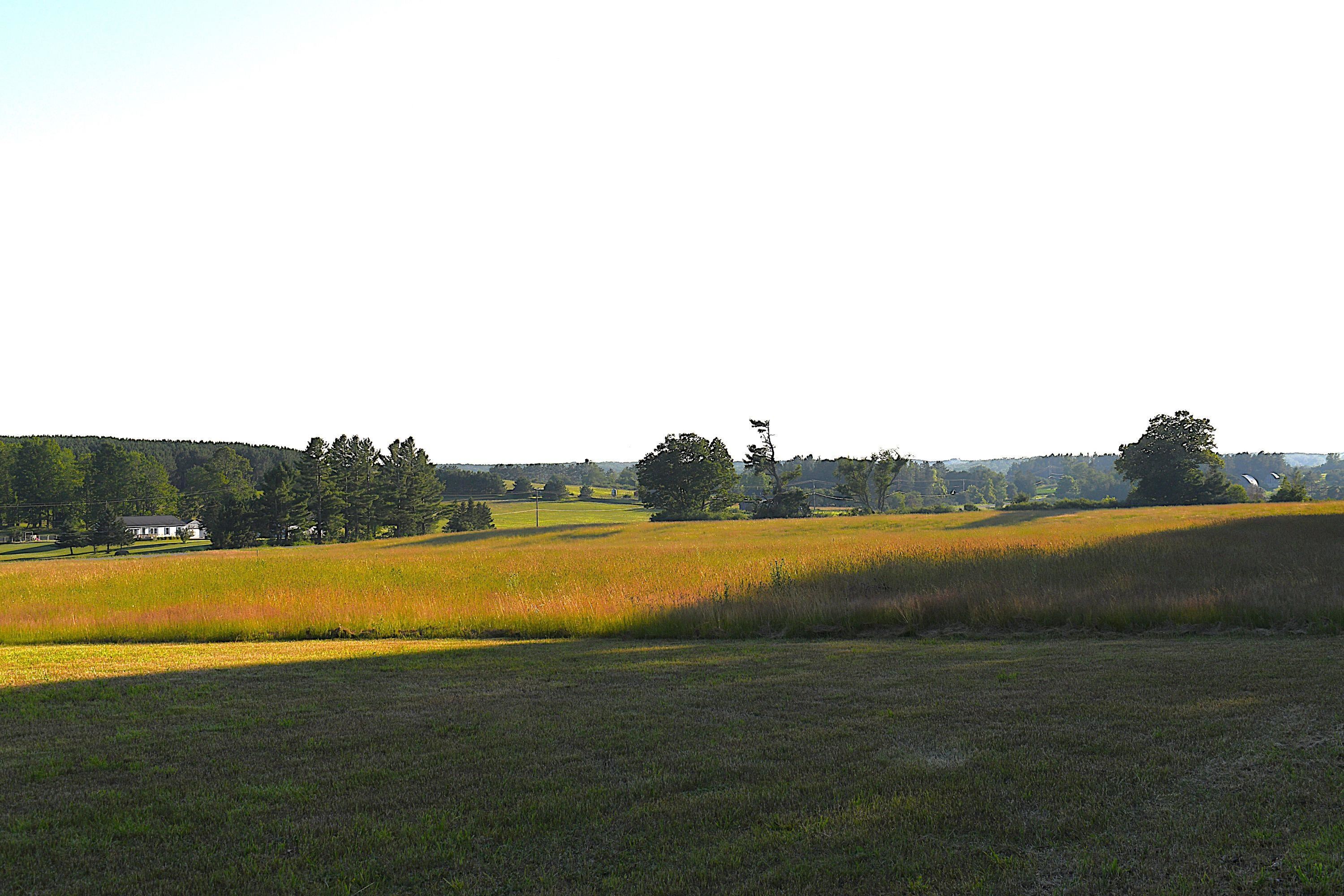 0 East Ritchie Road Lincoln, MI 48742 - Photo 1 of 16 1948064-068f6acd-c541-474b-8bf0-812450ec9c54.JPG