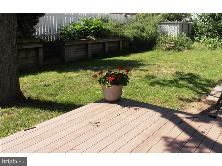 504 Perry Street Ridley Park, PA 19078 - Photo 5 of 17 Deck
