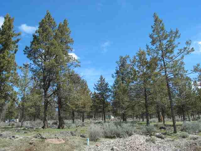 557 Kestrel Road Klamath Falls, OR 97601 - Photo 1 of 2 Primary Photo