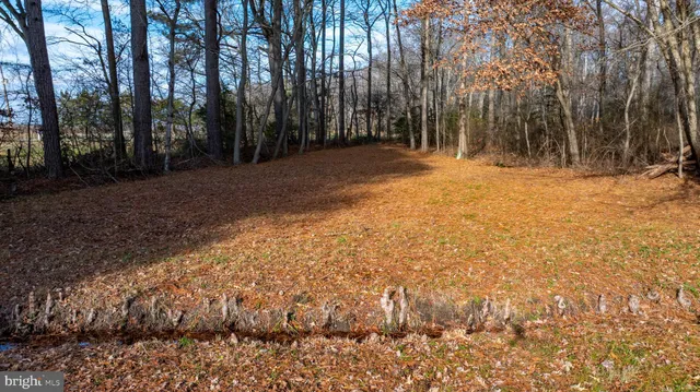 a view of outdoor space with trees