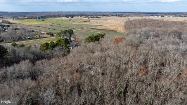 a view of a field with an ocean view