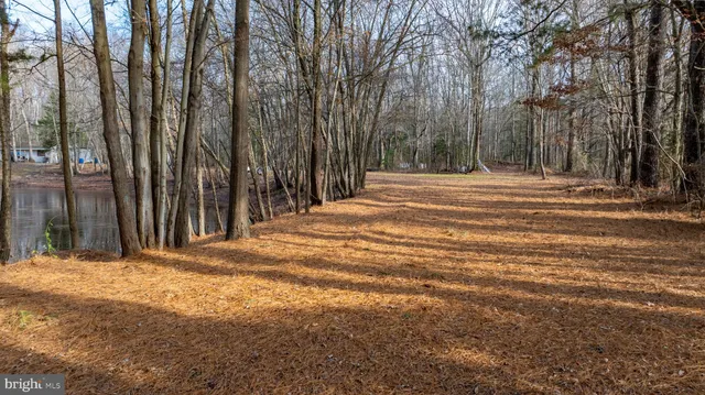 a view of a backyard of the house