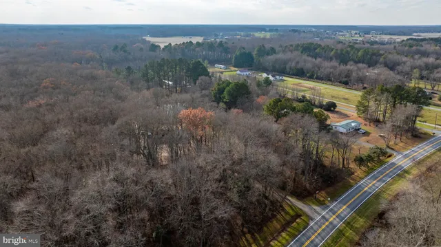 a view of a forest with a yard