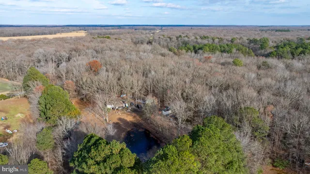 a view of a yard with an outdoor space
