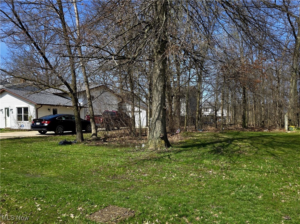 Drake Street North Ridgeville, OH 44039 - Photo 4 of 4 Gallery Image 4