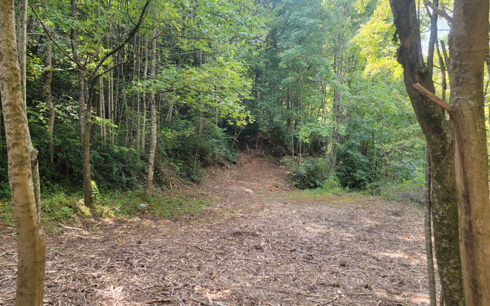 154 Dinkins Creek Road Murphy, NC 28906 - Photo 19 of 20 Additional View