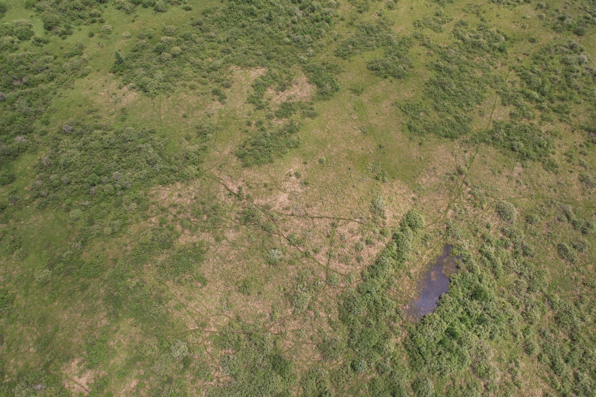 Tbd 350th Street Sebeka, MN 56477 - Photo 12 of 100