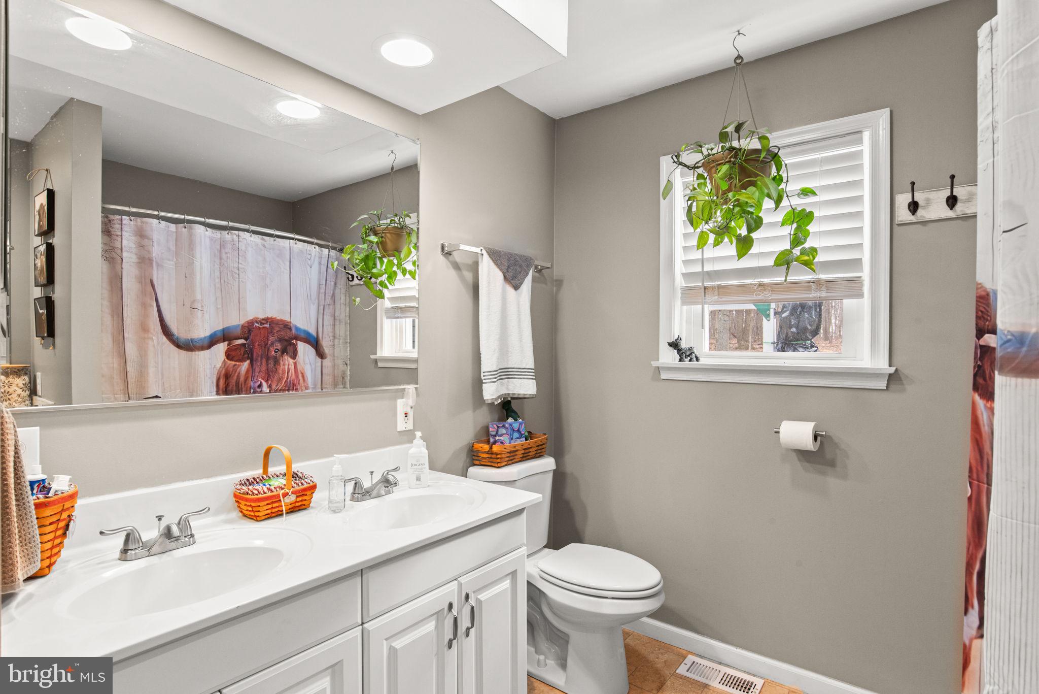 19773 Haugh Road Stewartstown, PA 17363 - Photo 20 of 58 a bathroom with a sink mirror and toilet