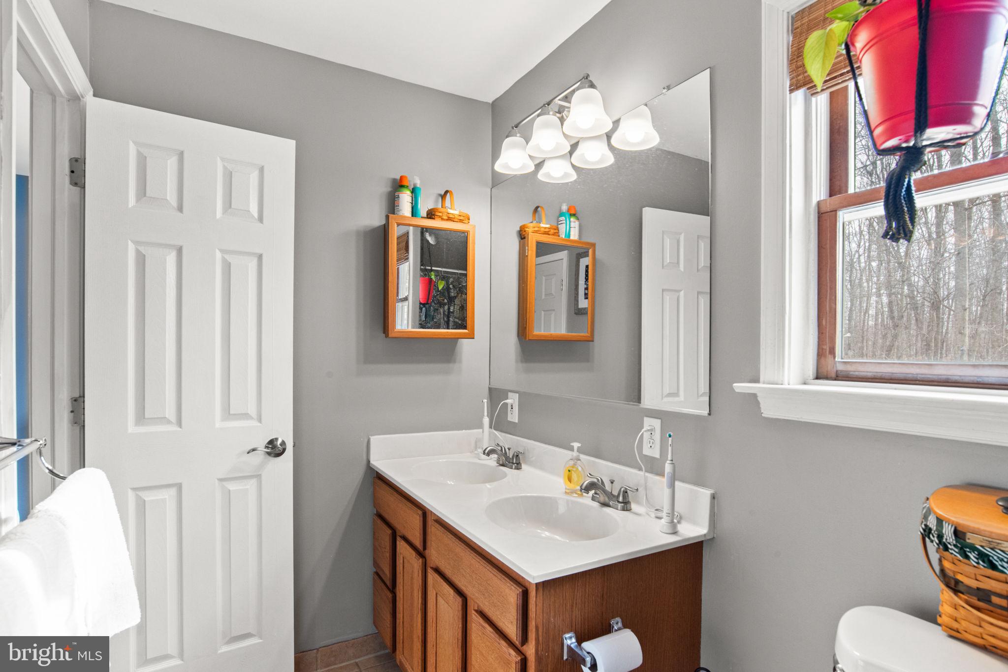 19773 Haugh Road Stewartstown, PA 17363 - Photo 29 of 58 a bathroom with a sink and a mirror