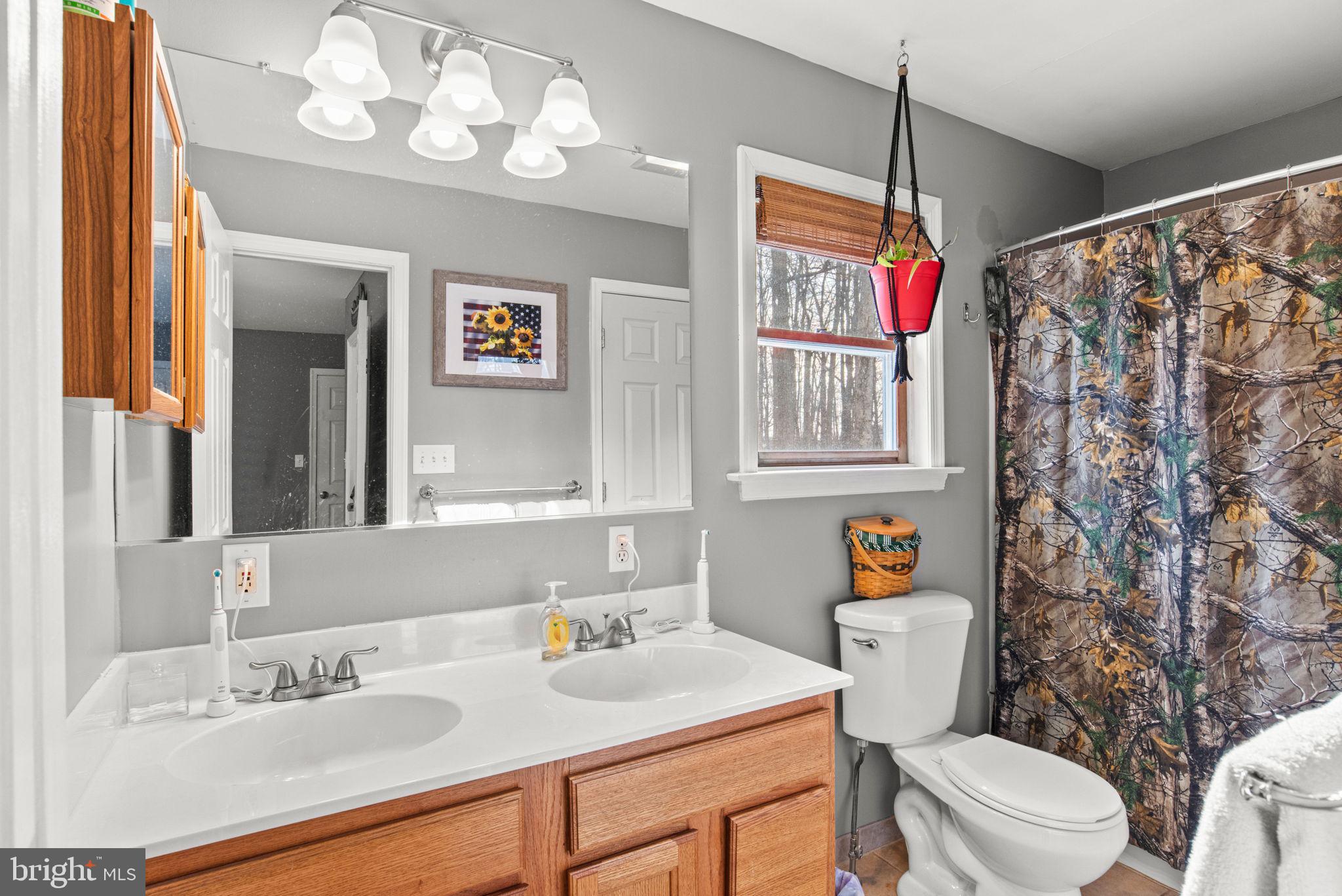 19773 Haugh Road Stewartstown, PA 17363 - Photo 30 of 58 a bathroom with a sink a toilet and a mirror