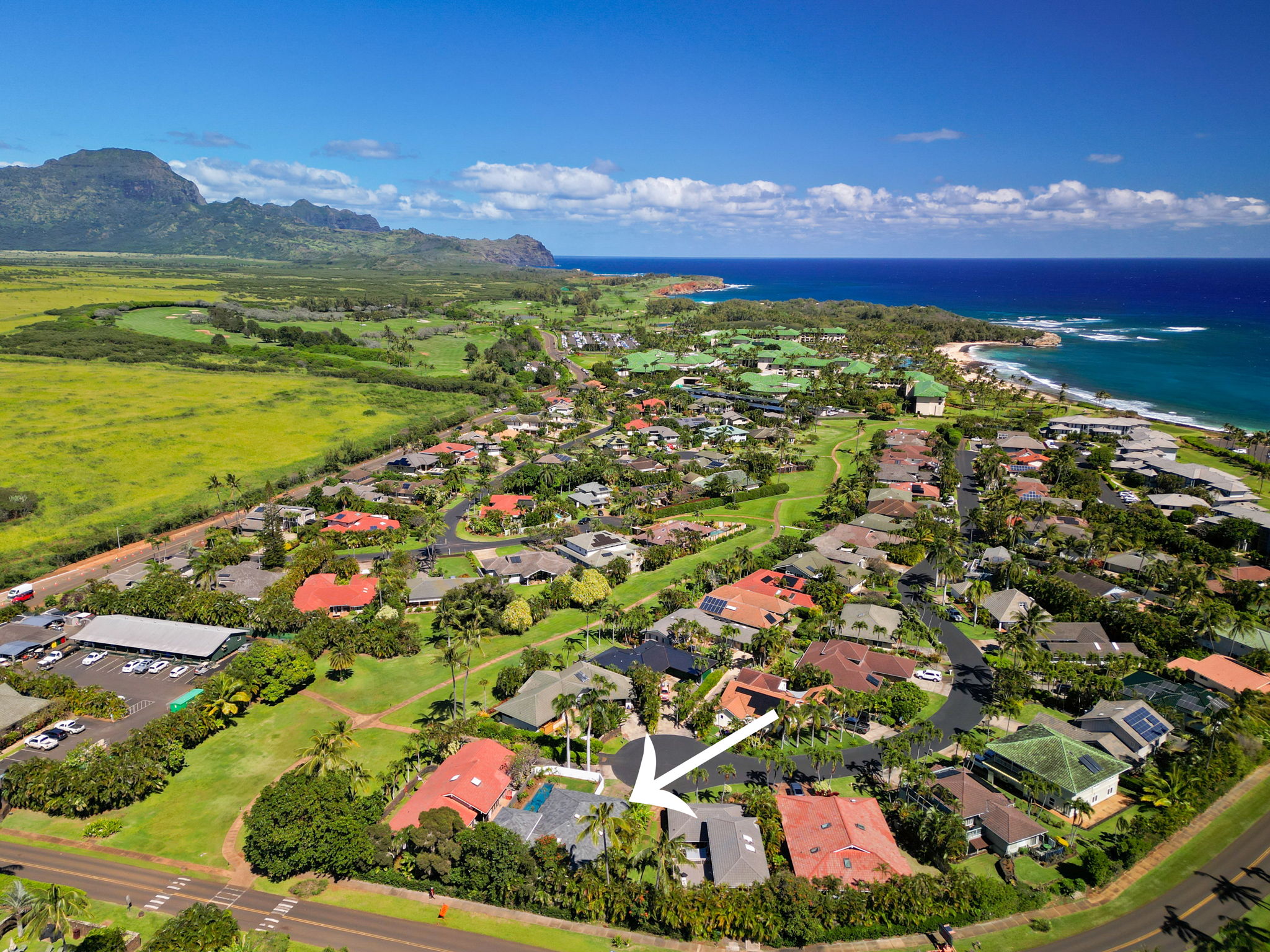 1753 Kelaukia Street Koloa, HI 96756 - Photo 13 of 27 a view of a city