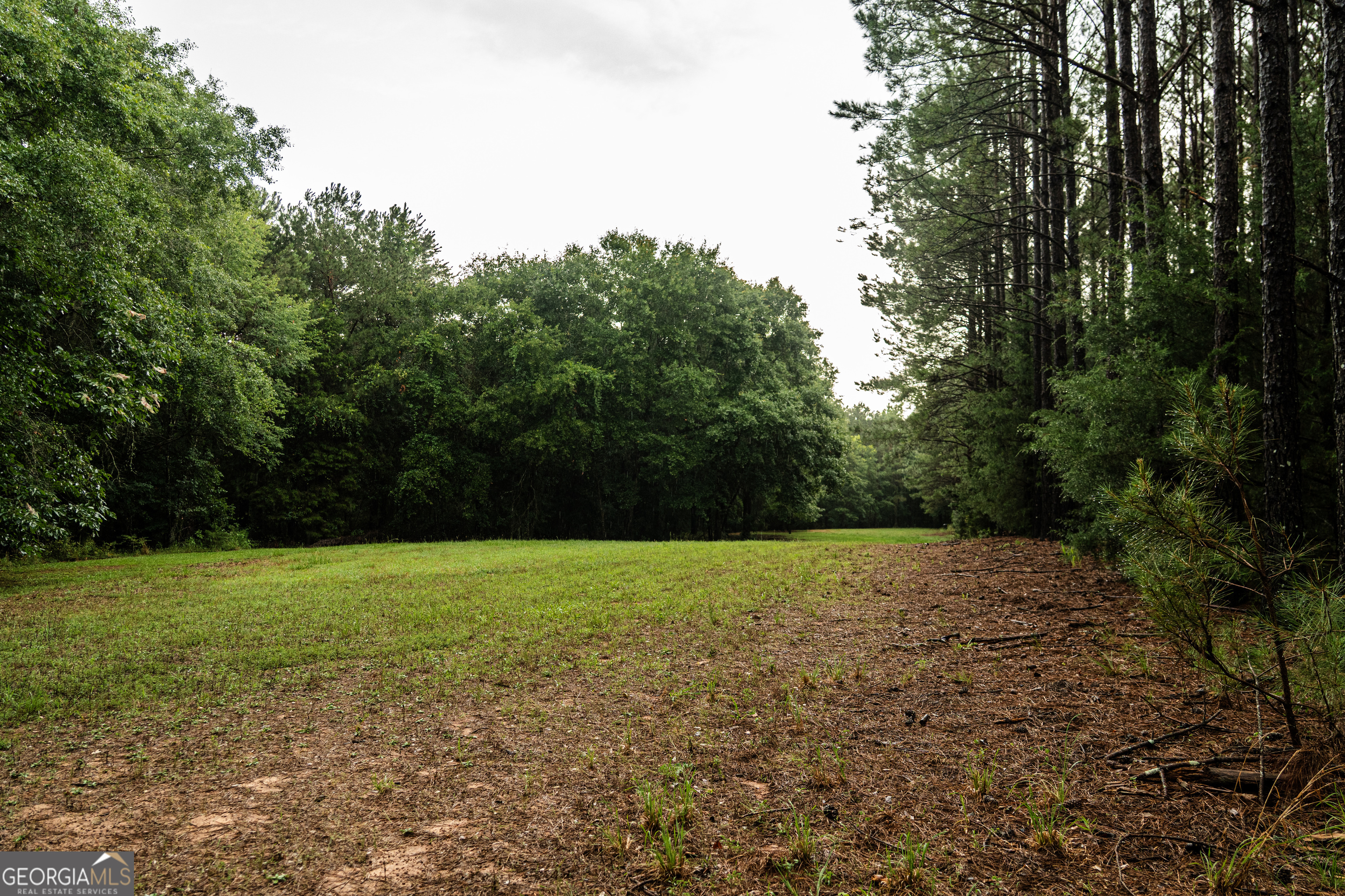 990 Highway 49 Americus, GA 31719 - Photo 75 of 121