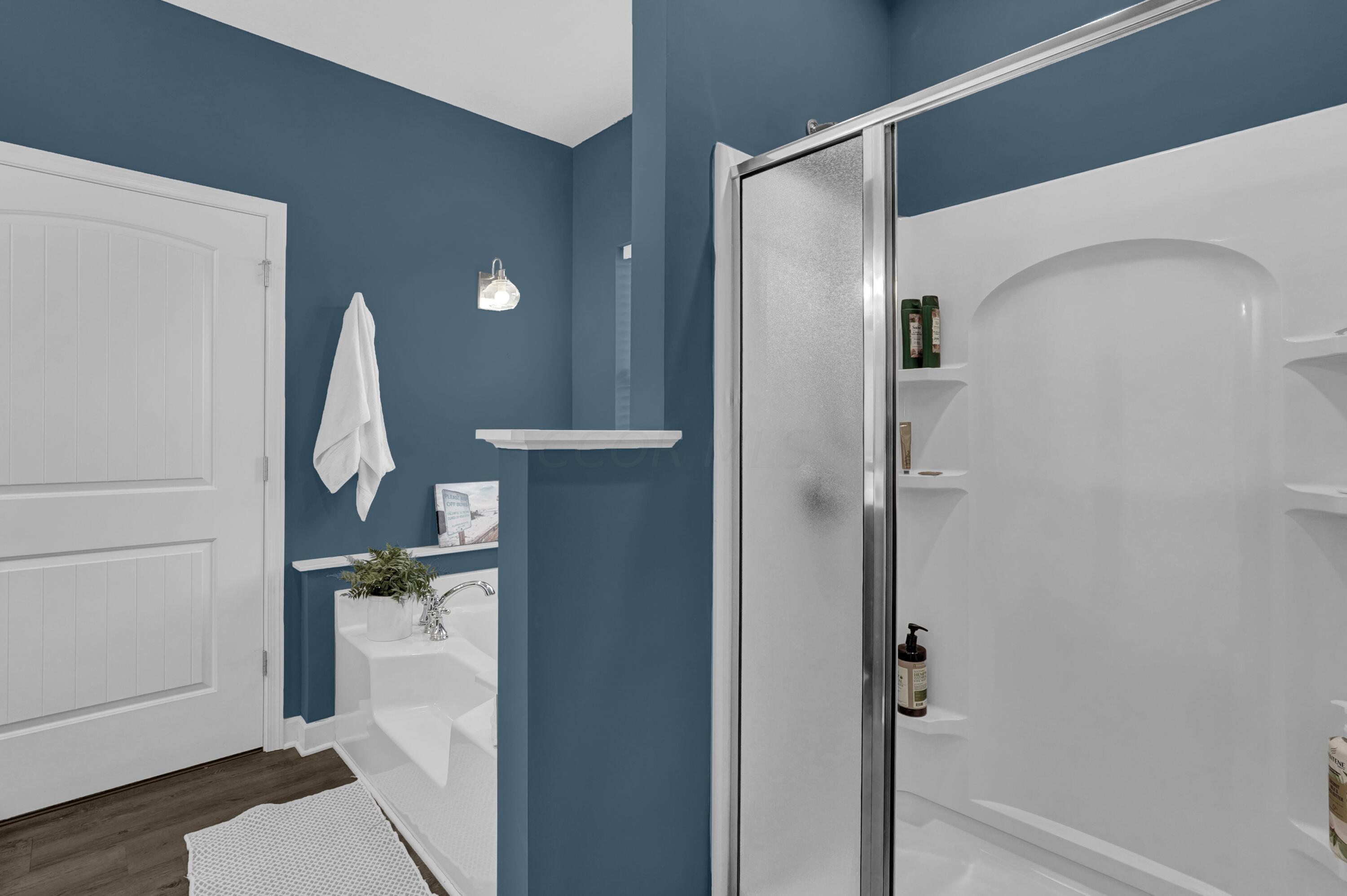 582 Dent Road Sunbury, OH 43074 - Photo 20 of 56 Separate Shower and Tub