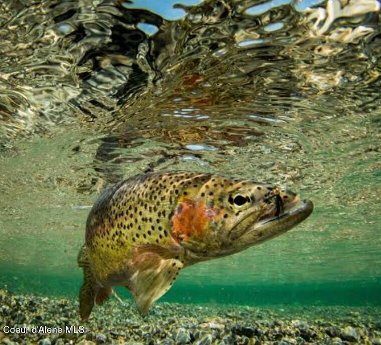 662 Roberson Way Sandpoint, ID 83864 - Photo 51 of 60 Near to Area Recreation