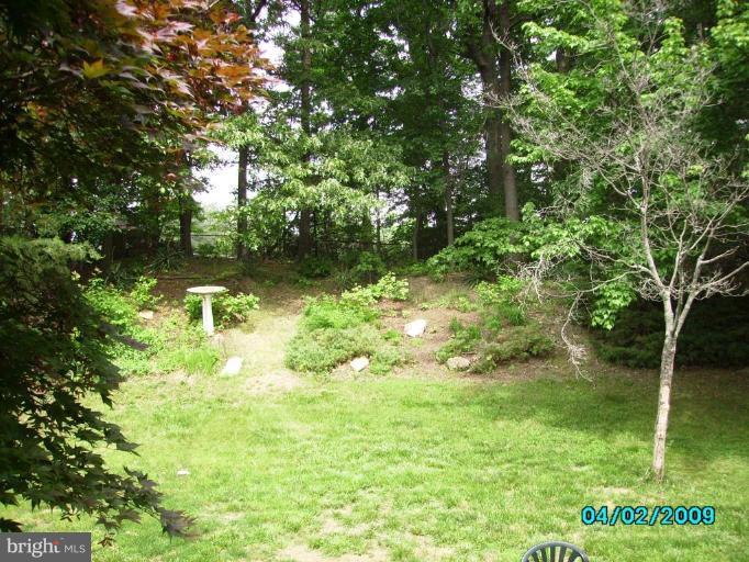 6402 Sandy Street Laurel, MD 20707 - Photo 12 of 25 Wooded View / Acreage