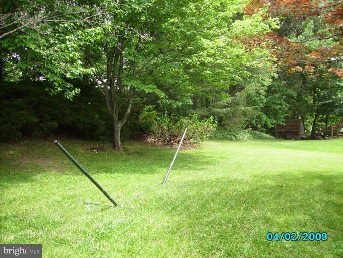 6402 Sandy Street Laurel, MD 20707 - Photo 13 of 25 Wooded View / Acreage 2