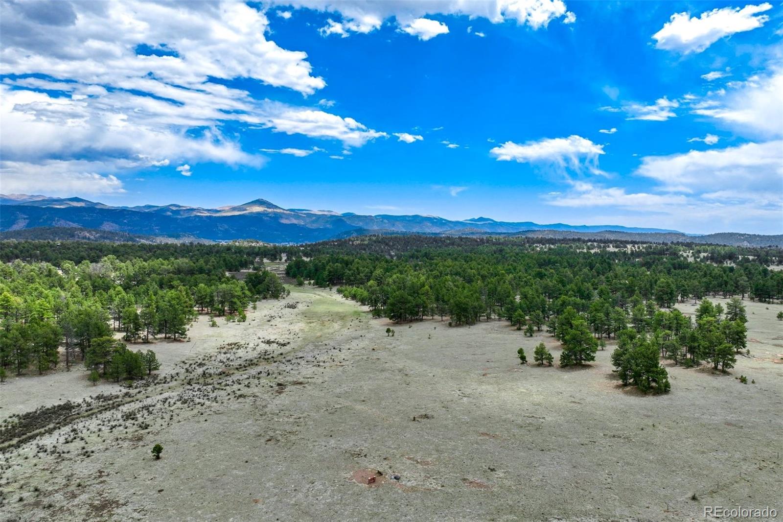 103 Doe Valley Road Guffey, CO 80820 - Photo 45 of 46