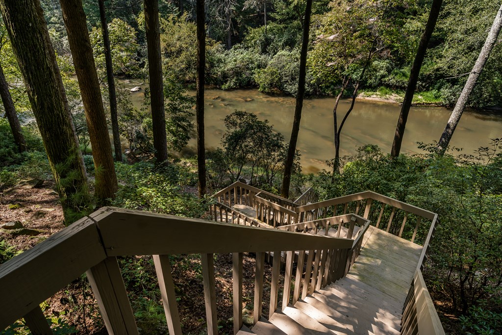263 Indian Cave Road Ellijay, GA 30536 - Photo 4 of 50