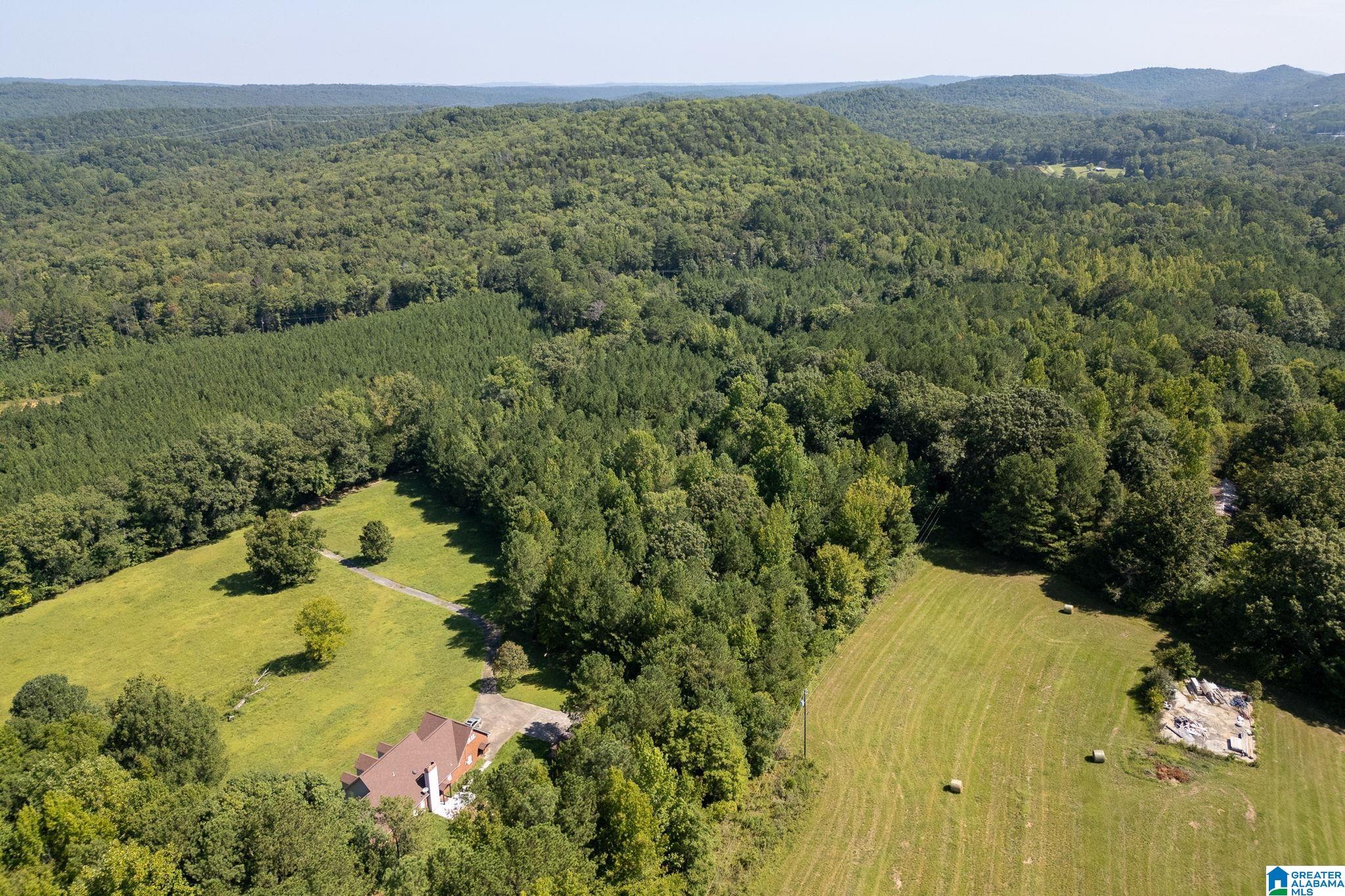 9111 Cedar Mountain Road, Unit 9111 Pinson, AL 35126 - Photo 13 of 24