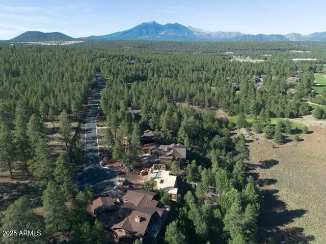 an aerial view of residential house with outdoor space and trees all around
