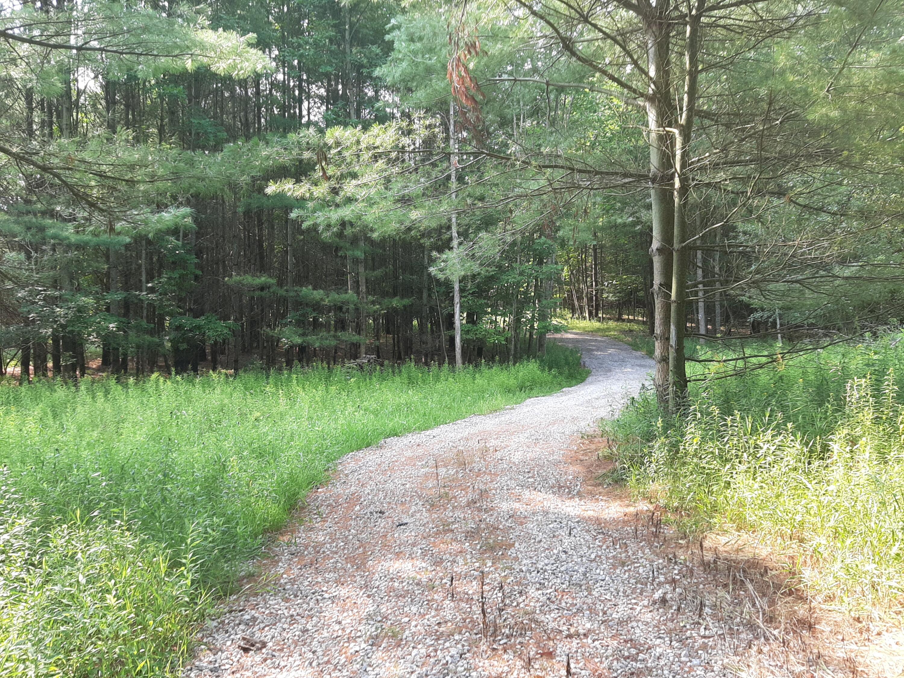 East Springport Road Harrisville, MI 48740 - Photo 2 of 12 Gallery Image 2