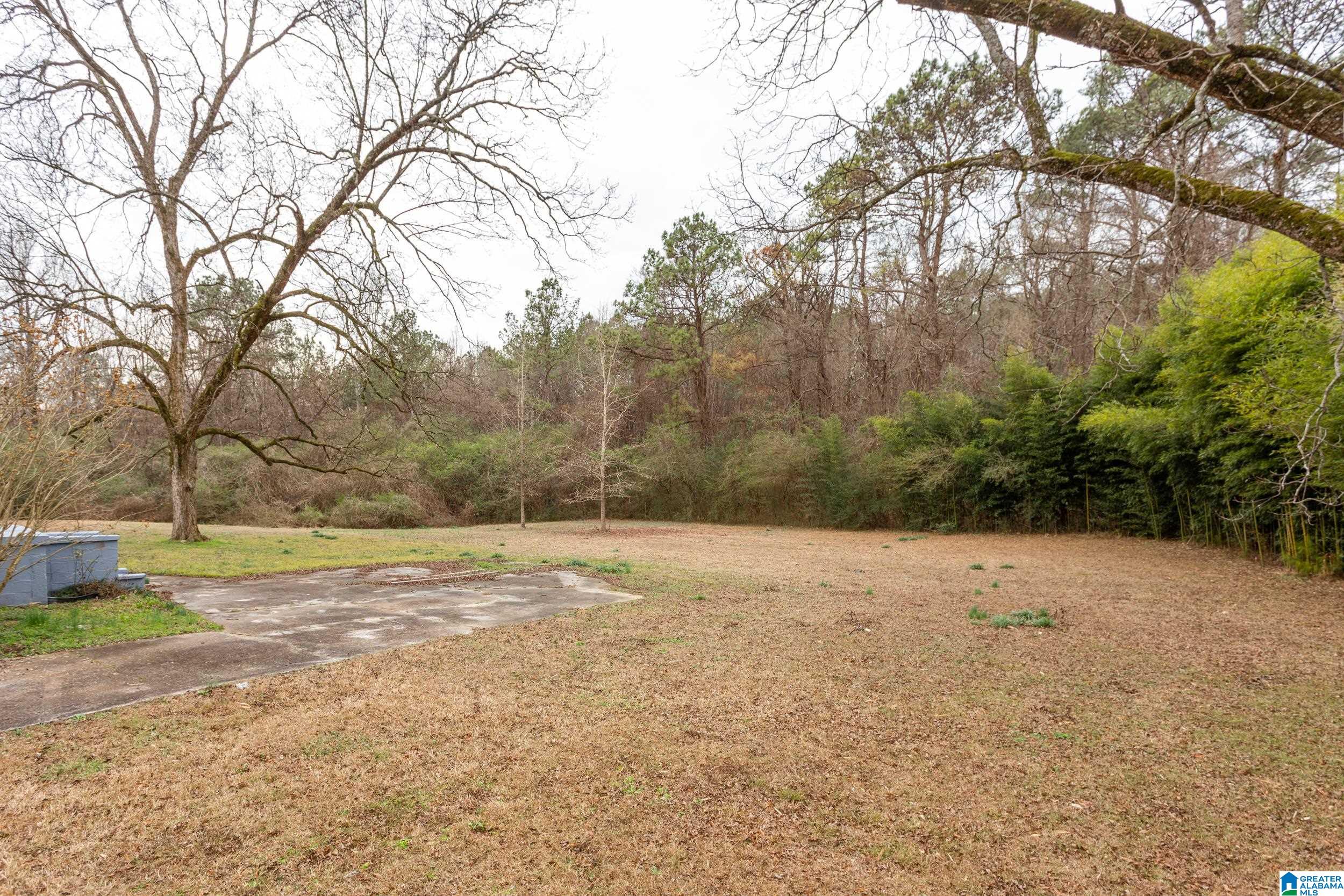 280 Turner Road Eastaboga, AL 36260 - Photo 43 of 43