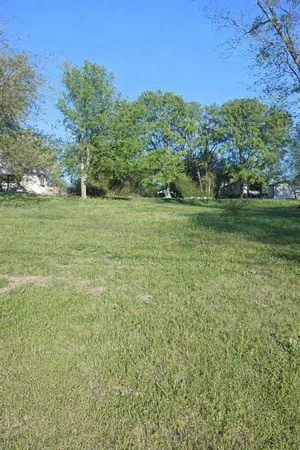 a view of a field with an trees