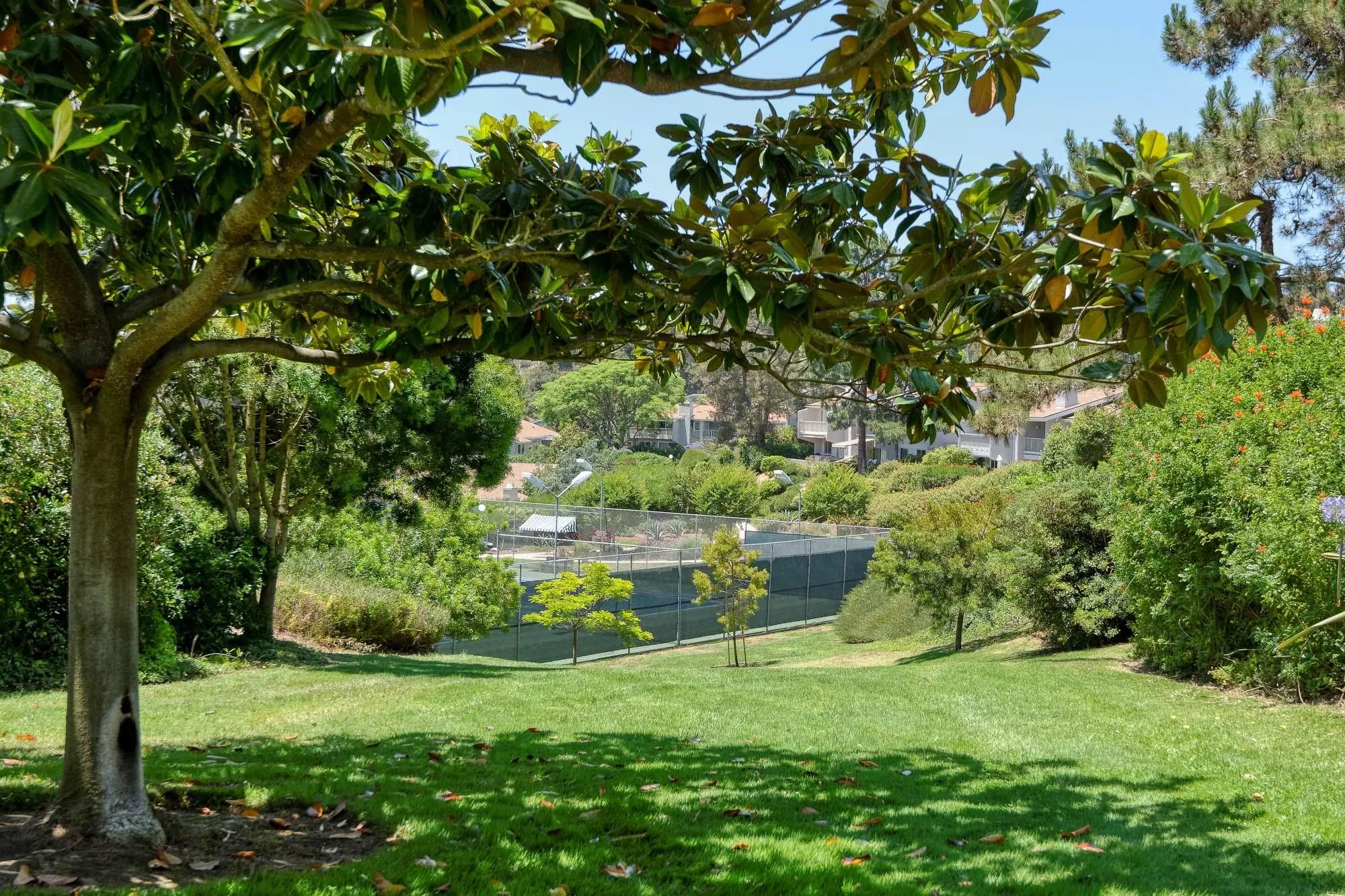 2075 Caminito Circulo Sur La Jolla, CA 92037 - Photo 24 of 26 a view of a lush green space