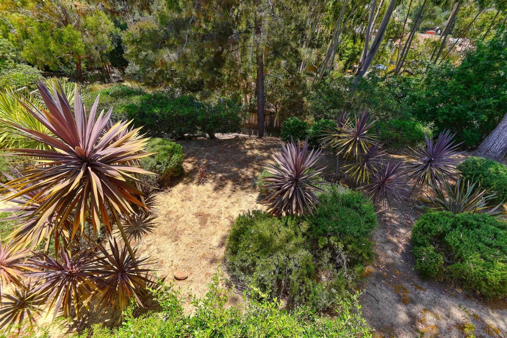 2075 Caminito Circulo Sur La Jolla, CA 92037 - Photo 25 of 26 a picture of a tree