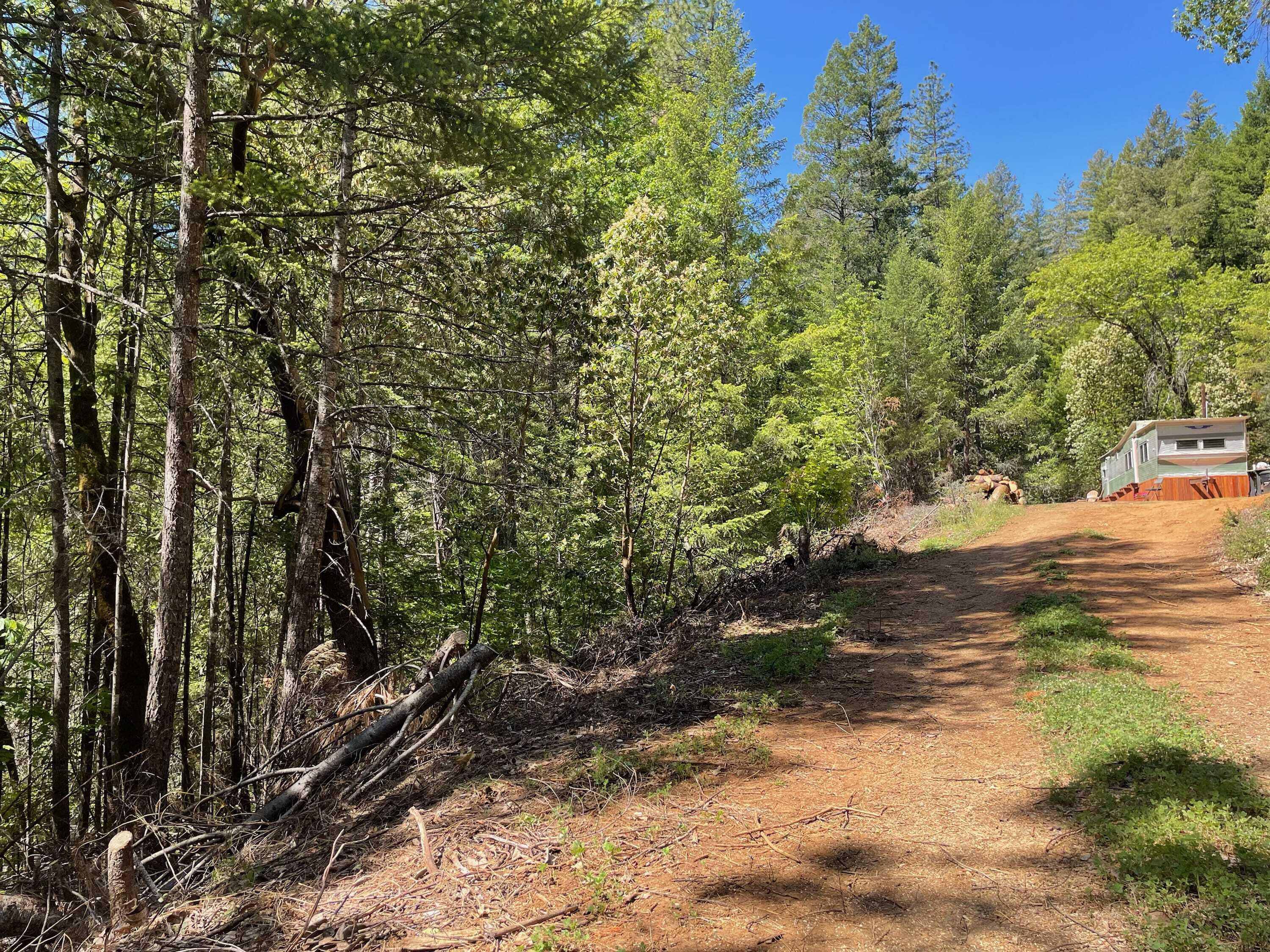 2601 Red Hill Road Junction City, CA 96048 - Photo 17 of 20 Image 17