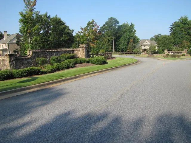 a view of a road with a yard and a large trees