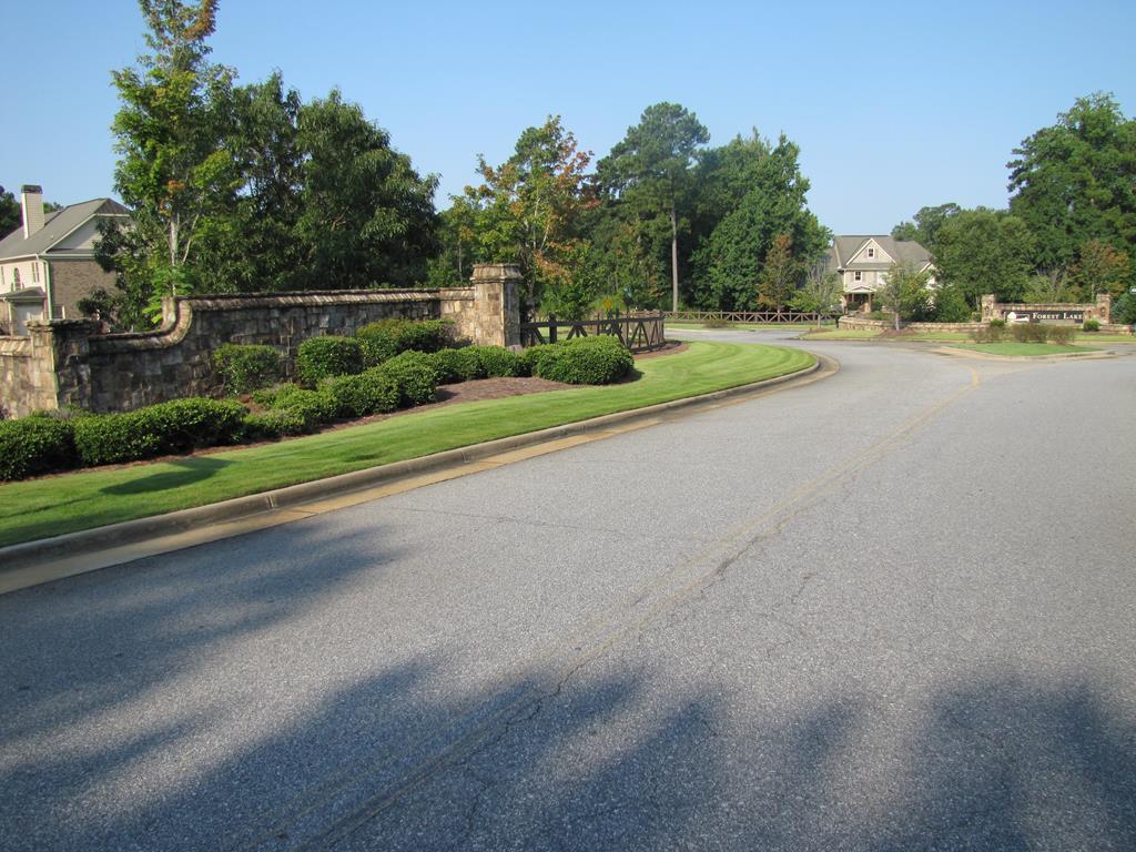 7715 Lynch Road Midland, GA 31820 - Photo 11 of 32 a view of a road with a yard and a large trees