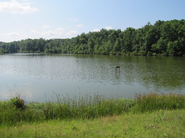 7715 Lynch Road Midland, GA 31820 - Photo 12 of 32 a view of a lake view