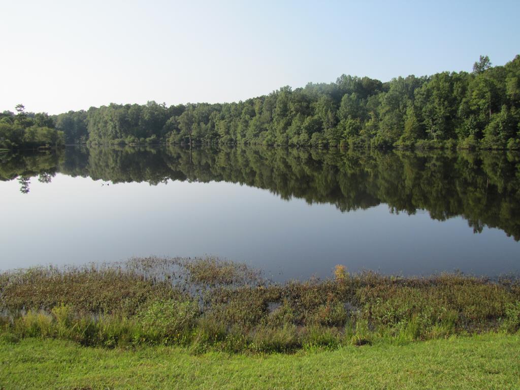 7715 Lynch Road Midland, GA 31820 - Photo 15 of 32 a view of a lake and mountain view