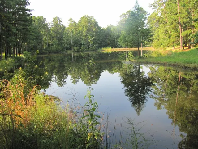 $1,500,000 | 7715 Lynch Road, Midland, GA 31820