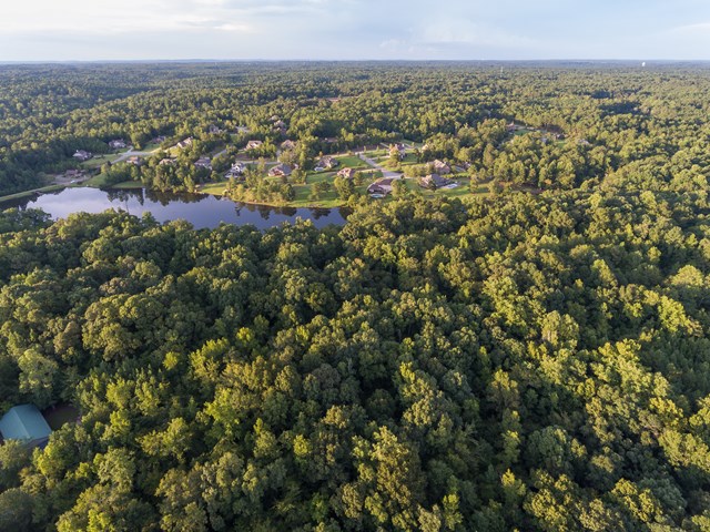 7715 Lynch Road Midland, GA 31820 - Photo 19 of 32 a view of city and mountain