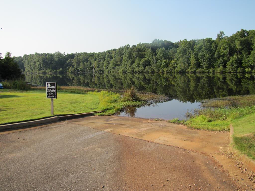 7715 Lynch Road Midland, GA 31820 - Photo 22 of 32 a view of a yard