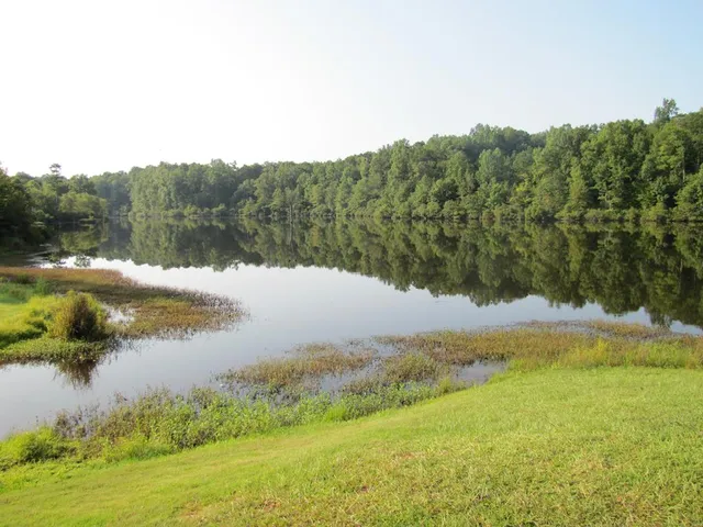 a front view of a house with a garden and parking
