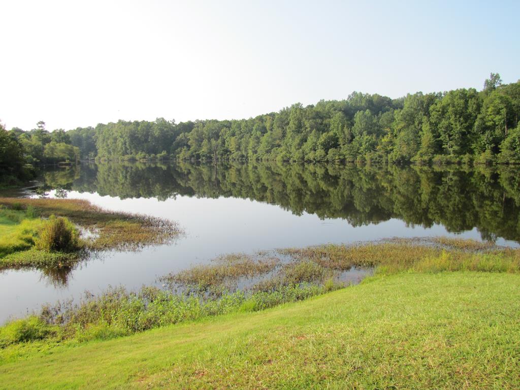7715 Lynch Road Midland, GA 31820 - Photo 25 of 32 a view of lake view and mountain